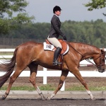 STAR SPANGLED IRONS - Out of Red White N Luke